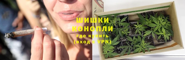 сатива Липки