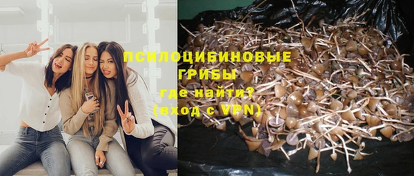 сатива Липки