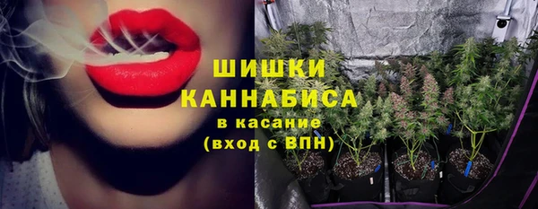 стаф Майский