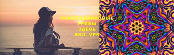 ПСИЛОЦИБИНОВЫЕ ГРИБЫ Баксан