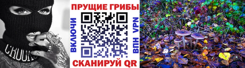 omg ONION магазин продажи наркотиков darknet формула Галлюциногенные грибы прущие грибы Жуков